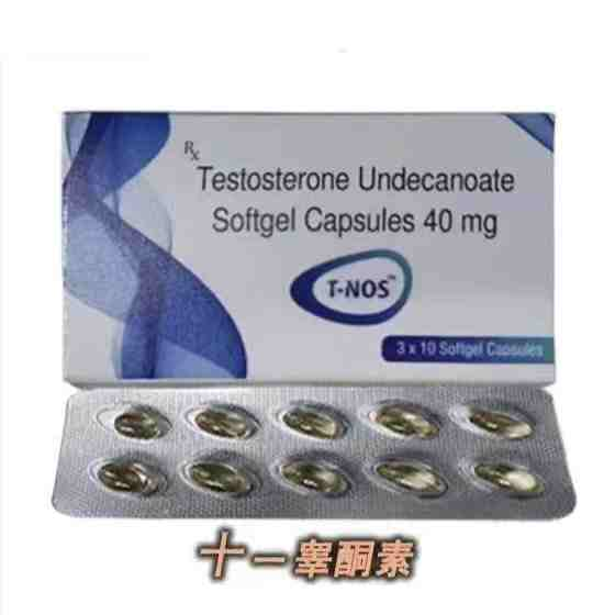 十一酸盐睾酮素软胶囊 T NOS Testosterone Undecanoate Softgel Capsules 40mg-小白资源网